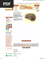 LE CERVEAU by Lecerveau - Mcgill.ca