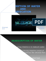 Water Reabsorption and Defecation Process