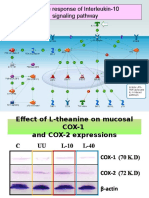 Immune Response of Interleukin-10 Signaling Pathway