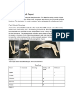 Digestive System Lab Report