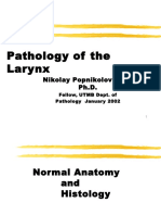 Larynx Path 2002 01 Slidesxx