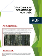 EL-MOSAICO-DE-LAS-REGIONES-DE-MONTAÑA.pptx