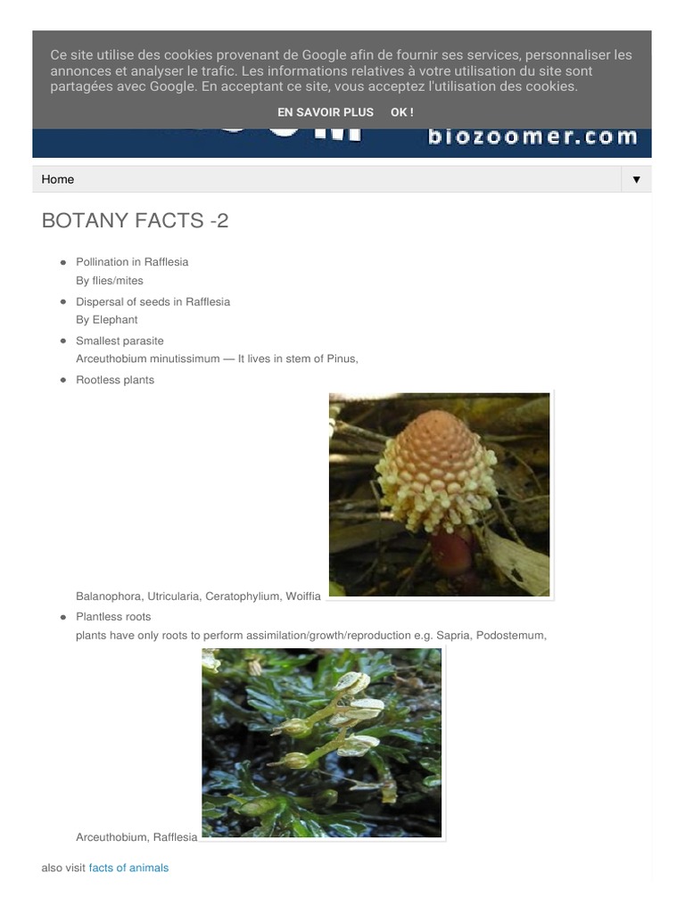 Botany Facts PDF Trees Botany