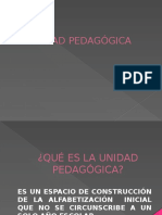 Unidad Pedagógica Power Para La Reunión (1) (1)