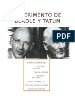 Experimentos de Beadle y Epherussi Beadle y Tatum Original1