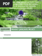 Download Isolasi Senyawa Aktif Antikanker Dari Daun Gaharu by ElhadjRoman SN310677608 doc pdf