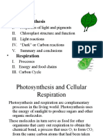 Photosynthesis and Cellular Respiration-0