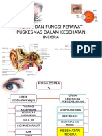 Peran Dan Fungsi Perawat Puskesmas Dalam Kesehatan Indera