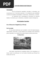 Recursos Naturales
