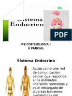 Sistema Endocrino