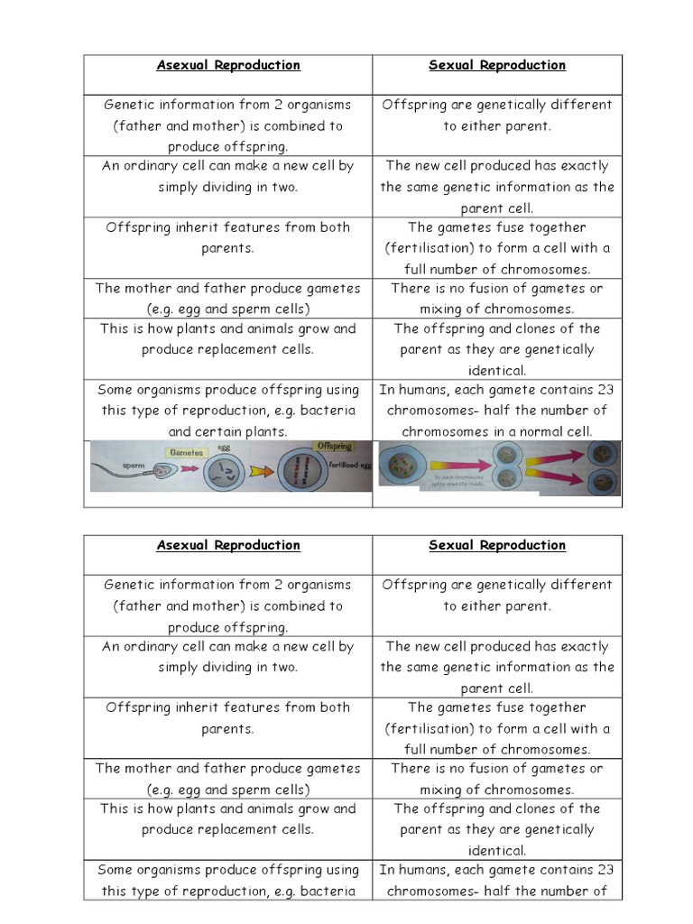 Asexual vs Sexual Reproduction Guide | PDF