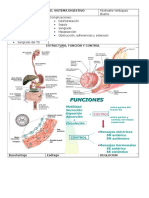 Fisiopatología Del Sistema Digestivo 1