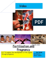 Fertilisation and Pregnancy