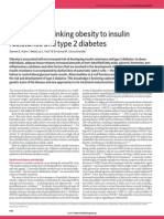Mechanisms Linking Obesity To Insulin Resistance and Type 2 Diabetes