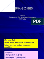 Anemia Gizi Besi