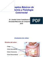 1.-Conceptos Básicos de Anatomia y Fisiología Colo-Ano-rectal 2010
