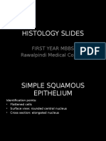 Histologyslidessnapshotsfirstyearmbbs 140224112450 Phpapp01