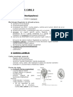 Parazitologie Curs 2 - Flagelate 