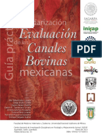 Guía Práctica para La Estandarización y Evaluación de Las Canales Bovinas PDF