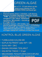 Blue Green Algae