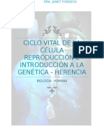 Ciclo Vital de La Célula Reproducción e Introducción a La Genética