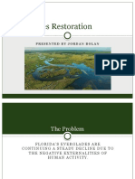 Everglades Restoration