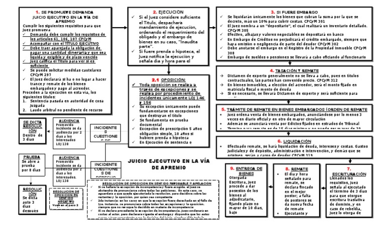 Esquema Juicio Ejecutivo en La Vía de Apremio Evidencia