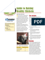 Guide To Raising Healthy Chickens: The Decision