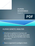 Bio14human Inheritance