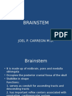 BRAINSTEM new.pptx