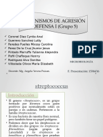 MAD I-microbiología-GRUPO 5-SECCIÓN B-STREPTOCOCCUS.pptx