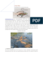 Download Makalah Budidaya Ikan Mas by Robby DarkElf SN310812625 doc pdf