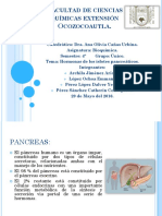 Hormonas Islotes Pancreaticos y Esteroideas