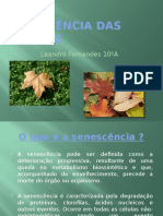 Senescência Das Plantas.pptx