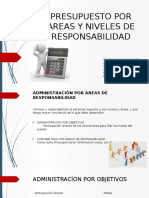 04 Presupuesto Por Areas y Niveles de Responsabilidad