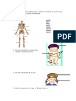 El Sistema Oseo