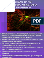 Inst. Quirúrgica - 1º Año - Anatomía - Unidad Nº13 - Sistema Nervioso Periférico