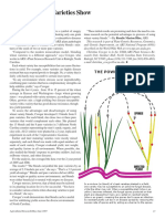 Blended Wheat Varieties Show Their Strenght