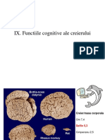 Curs_Functiile Cognitive Ale Creierului