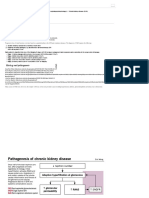 Chronic Kidney Disease (CKD) - McMaster Pathophysiology Review