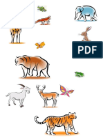 Animales Para Efecto