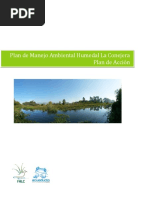 Plan de Acción PEDHLC