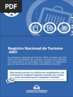 Formato Único RNT para Trámites | PDF