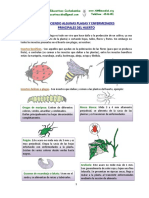 Manejo de Mi Huerto Familiar PDF