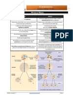 Informativa7 - Mitose e Meiose