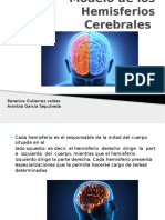 Modelo de Los Hemisferios Cerebrales