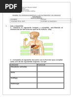 Quinto, Digestivo y Nutrientes