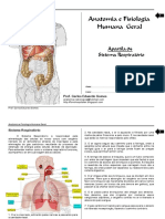 Anatomia e Fisiologia Respiratória