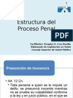 Estructura Del Proceso Penal