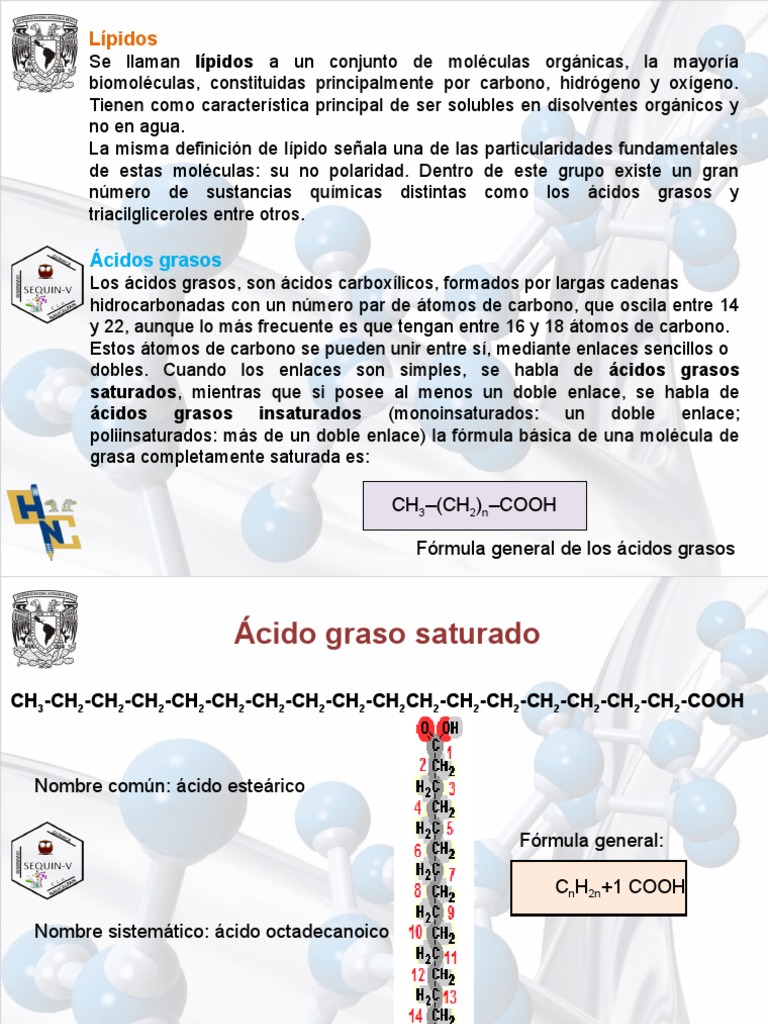 Como Hacer Que Alexa Lea Un Pdf